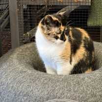 Thumbnail photo of Anne #2