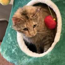 Thumbnail photo of Heather #2