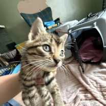 Thumbnail photo of Massimo #1