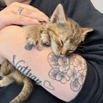 Thumbnail photo of Keah #1