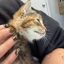 Thumbnail photo of Keah #4