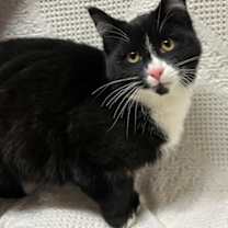 Thumbnail photo of Raindrop #1