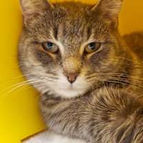 Thumbnail photo of Dancer #1