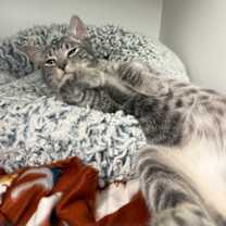 Thumbnail photo of Ryan #3