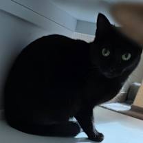 Thumbnail photo of Deena #1