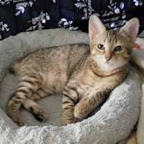 Thumbnail photo of Christina #1