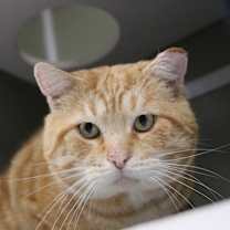 Thumbnail photo of Jeremiah #1