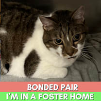 Thumbnail photo of Miller #1