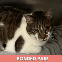 Thumbnail photo of Miller #3