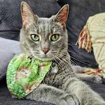 Thumbnail photo of Maggie #4