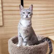 Thumbnail photo of Candy 3 #3