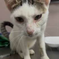 Thumbnail photo of Carol #2