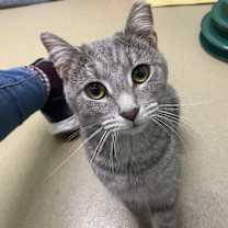 Thumbnail photo of Lilo #1