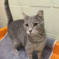 Thumbnail photo of Lilo #2