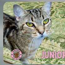 Thumbnail photo of Junior #1