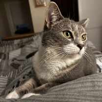 Thumbnail photo of Gracie #4