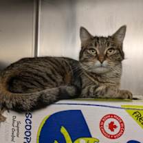 Thumbnail photo of Channel #1