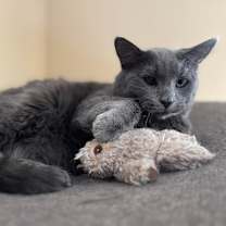 Thumbnail photo of Doechii #1