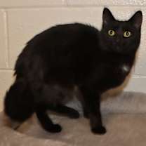 Thumbnail photo of Claire #3