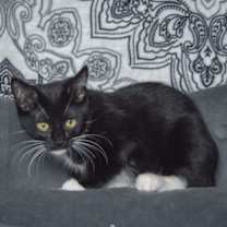 Thumbnail photo of Meg #4