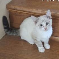 Thumbnail photo of Oakley #HireHim #1