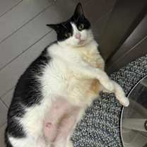 Thumbnail photo of Sparkles #3