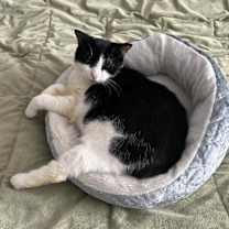 Thumbnail photo of Sparkles #4