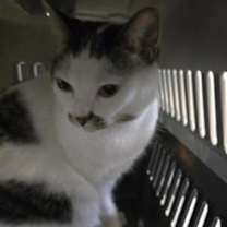 Thumbnail photo of Mona #1