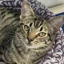 Thumbnail photo of First Mate #1