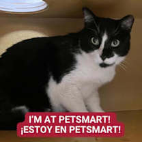 Thumbnail photo of Dori #3