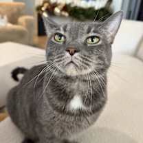 Thumbnail photo of Beesly #2