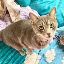 Thumbnail photo of Splash #3