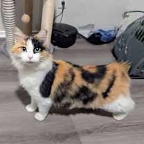 Thumbnail photo of Dotty #4