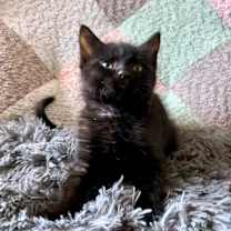 Thumbnail photo of Ed #2