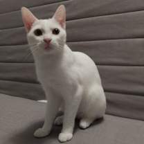 Thumbnail photo of Catalina #4