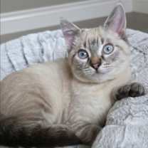 Thumbnail photo of Noel #2