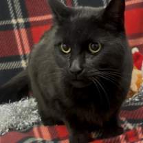 Thumbnail photo of Alan #1