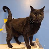 Thumbnail photo of Alan #2