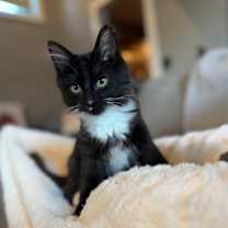 Thumbnail photo of Heath #1