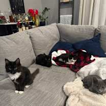 Thumbnail photo of Heath #3