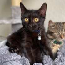 Thumbnail photo of Stockton #3