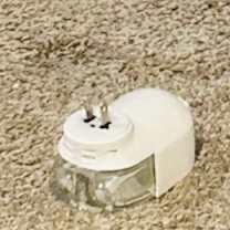 Thumbnail photo of Sergio #3