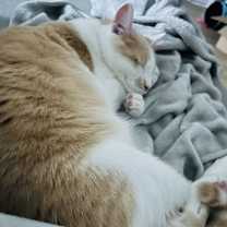 Thumbnail photo of Sergio #4