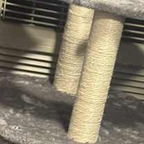 Thumbnail photo of Minion #4