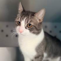 Thumbnail photo of Misty #3