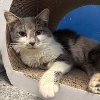 Thumbnail photo of Janika #1