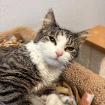 Thumbnail photo of Jordyn #4