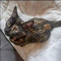 Thumbnail photo of Emma #3