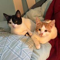 Thumbnail photo of Junior #1