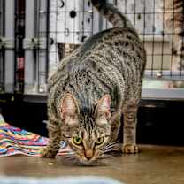 Thumbnail photo of Francine Smith #3